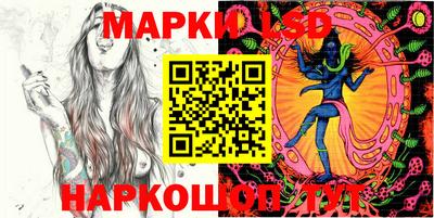 гидропоника Бердск